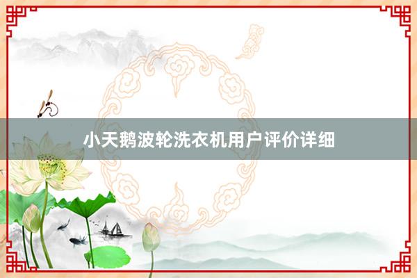 小天鹅波轮洗衣机用户评价详细